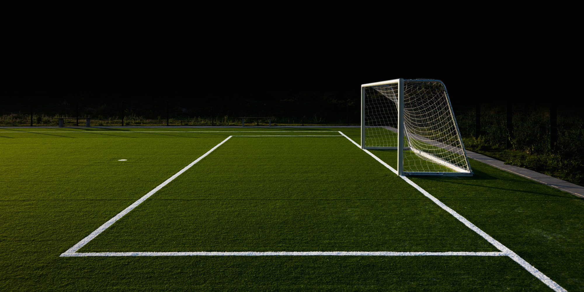 Soccer Field and Goal